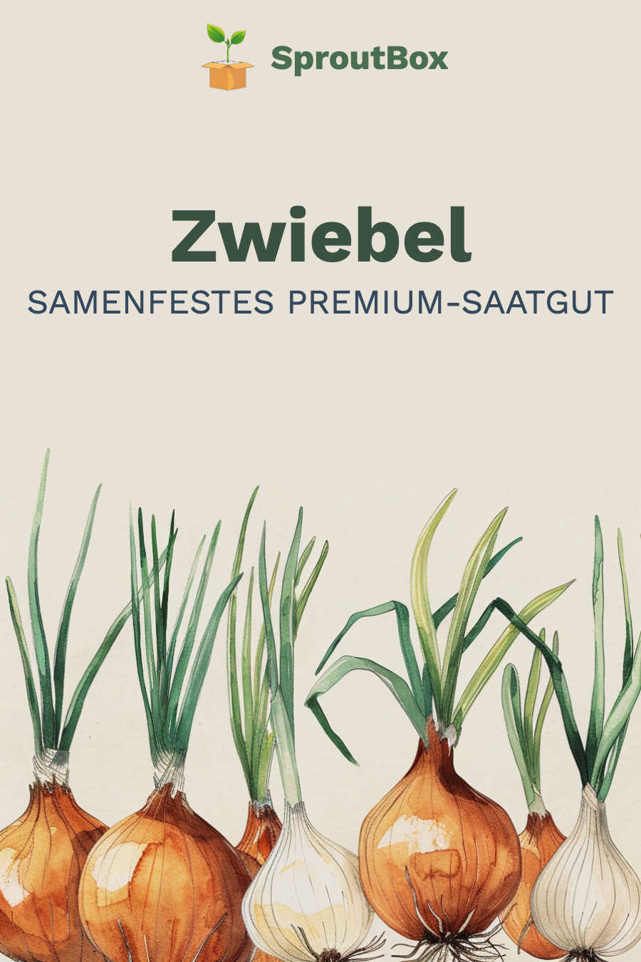 Zwiebel Saatgutpaket